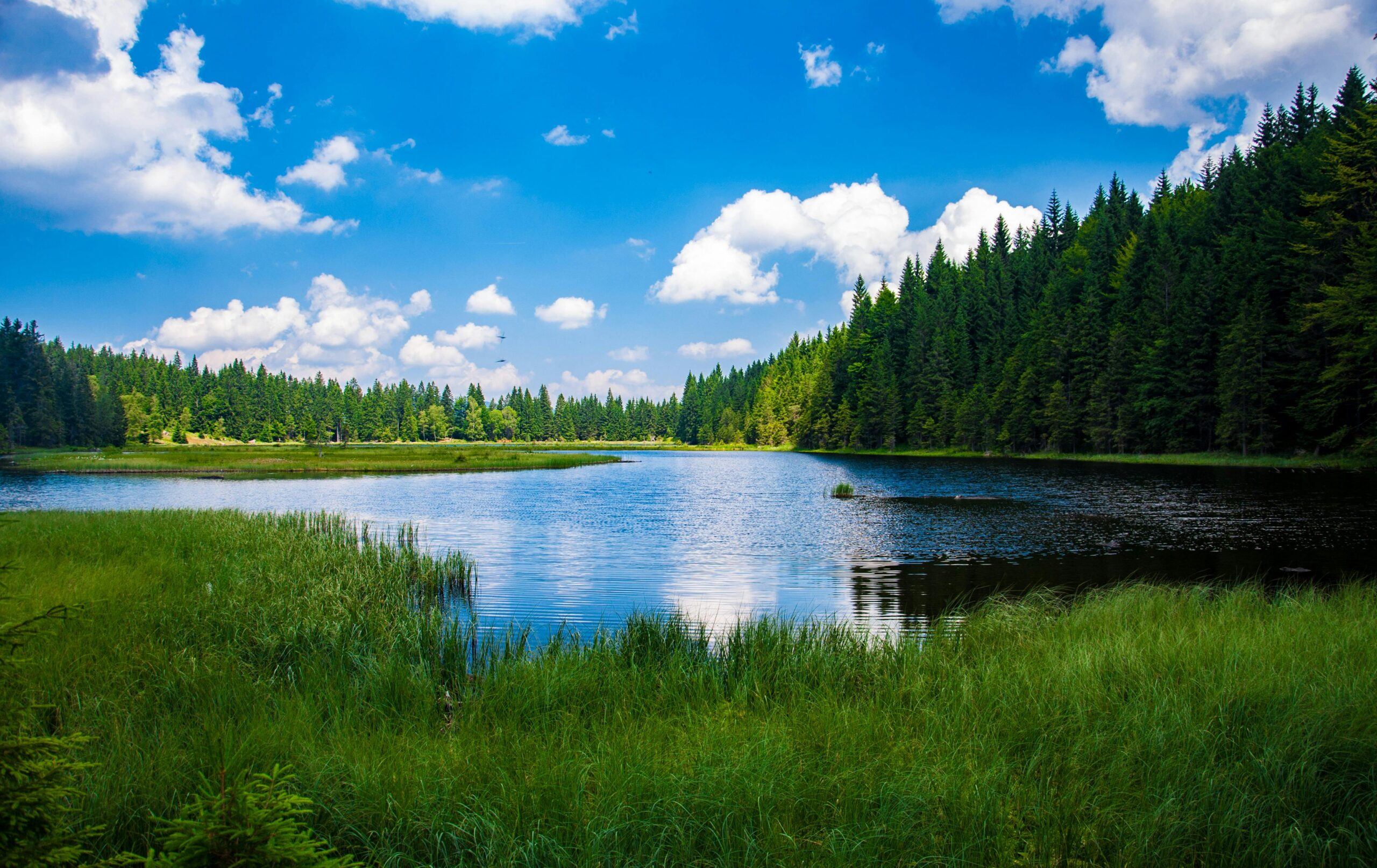 Green Mountain and Jheel